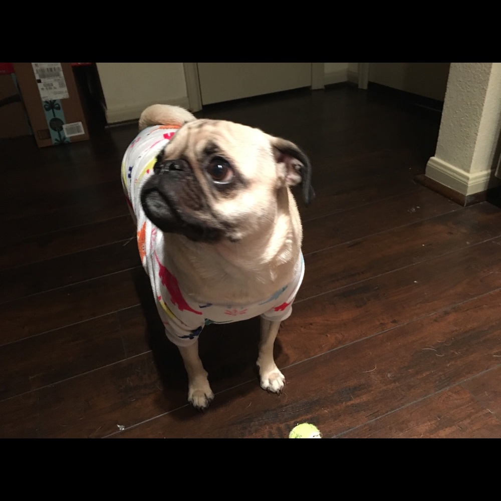 Meet your Posher, Lisa